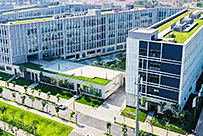深圳技術大學